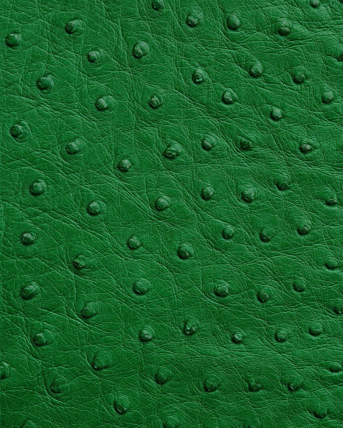 Чохол із зеленої шкіри страуса з фолікулами для iPhone se2020