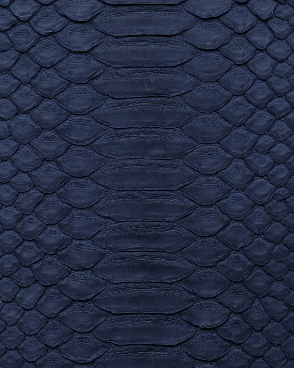 Чохол із темно-синьої шкіри пітона з широкими лусочками для iPhone se2020